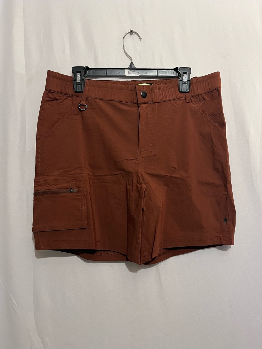 Smartwool Men's Rust Cargo Shorts